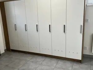 Pronájem skladu, Ostrava - Moravská Ostrava, Plynární, 781 m2