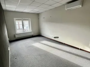 Pronájem skladu, Ostrava - Moravská Ostrava, Plynární, 781 m2