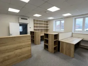 Pronájem skladu, Ostrava - Moravská Ostrava, Plynární, 781 m2