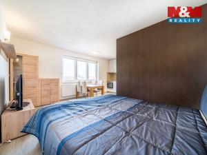 Pronájem bytu 1+kk, Plzeň - Jižní Předměstí, Presslova, 36 m2