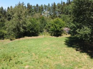 Prodej pole, Strašín, 33901 m2