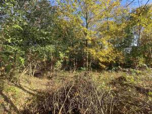 Prodej pozemku, Zdislava, 1043 m2