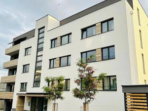 Pronájem bytu 2+kk, Praha - Vinohrady, Perucká, 46 m2