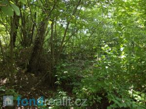 Prodej pozemku, Kaplice - Blansko, 19480 m2