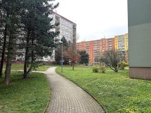 Pronájem bytu 2+kk, Liberec - Liberec VI-Rochlice, Seifertova, 42 m2