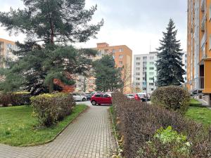 Pronájem bytu 2+kk, Liberec - Liberec VI-Rochlice, Seifertova, 42 m2