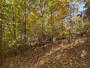 Prodej pole, Železný Brod, 12622 m2