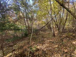 Prodej pole, Železný Brod, 12622 m2