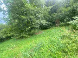 Prodej pozemku, Mladkov, 1004 m2