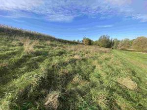 Prodej pozemku, Svijany, 4905 m2