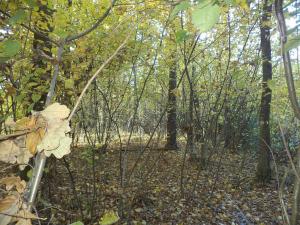 Prodej pozemku, Římov - Dolní Stropnice, 2102 m2