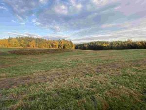 Prodej pole, Cvikov - Trávník, 16894 m2