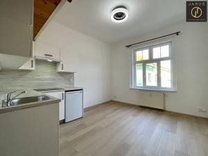 Pronájem bytu 1+kk, Praha - Michle, Magistrů, 22 m2