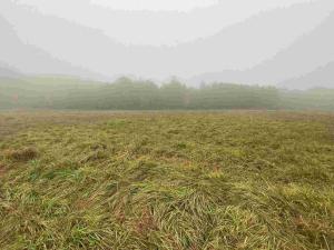 Prodej pole, Verneřice, 22839 m2