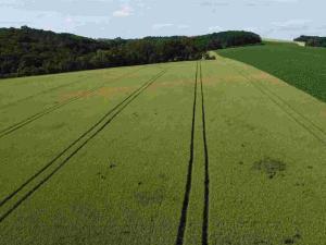 Prodej pozemku, Dobrkovice, 30944 m2