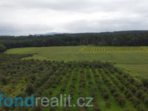 Prodej pole, Malovice - Krtely, 4926 m2