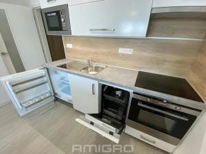 Pronájem bytu 1+kk, Brno, Reissigova, 32 m2