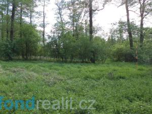 Prodej pozemku, Dětmarovice - Koukolná, 1844 m2