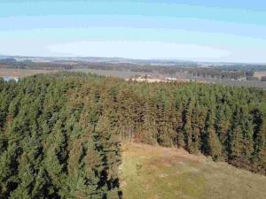 Prodej pozemku, Tisová - Kumpolec, 4563 m2