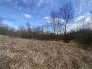 Prodej pozemku, Dolní Dvořiště - Trojany, 18915 m2