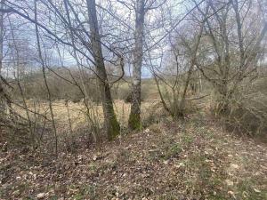 Prodej pozemku, Dolní Dvořiště - Trojany, 18915 m2