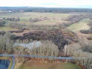 Prodej pozemku, Nové Hrady - Štiptoň, 35772 m2