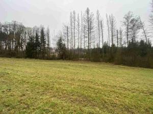 Prodej pozemku, Hosín - Dobřejovice, 10244 m2