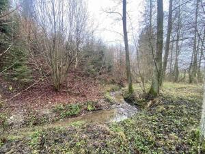 Prodej pozemku, Hosín - Dobřejovice, 10244 m2