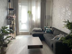 Pronájem bytu 3+kk, Kuřim, Hojerova, 80 m2