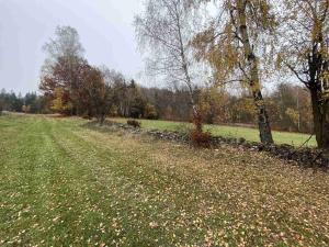 Prodej pole, Chvalšiny, 1158 m2