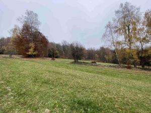 Prodej pole, Chvalšiny, 1158 m2