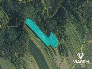 Prodej podílu lesa, Kuřimská Nová Ves, 10094 m2