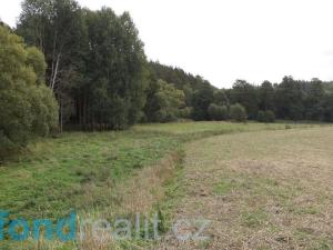 Prodej pole, Tachov, 55727 m2