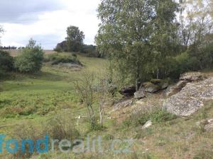 Prodej pole, Tachov, 55727 m2