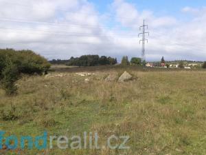 Prodej pole, Tachov, 55727 m2