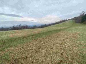 Prodej pole, Mírová pod Kozákovem, 22044 m2