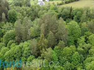 Prodej pozemku, Rejštejn, 5171 m2