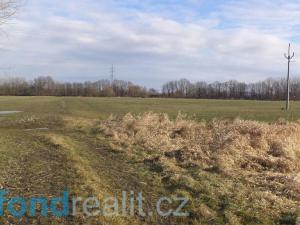 Prodej pozemku, Čejetice - Sudoměř, 62047 m2
