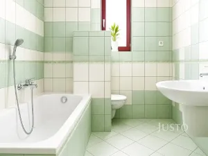 Pronájem bytu 2+kk, Písek, U Papírny, 59 m2