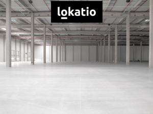Pronájem skladu, Odrava - Obilná, 20821 m2