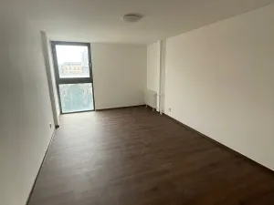 Pronájem bytu 1+kk, Liberec, Revoluční, 29 m2