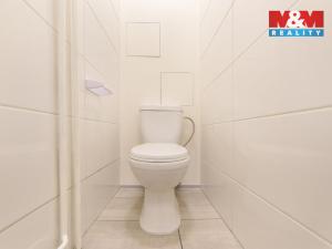 Prodej bytu 2+1, Plzeň - Východní Předměstí, Francouzská třída, 75 m2