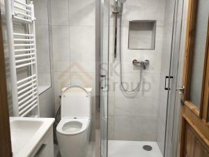 Pronájem atypického bytu, Karlovy Vary - Rybáře, Sokolovská, 45 m2