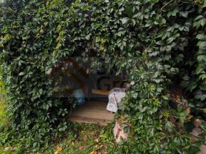 Prodej zahrady, Žlutice, Smetanova, 569 m2