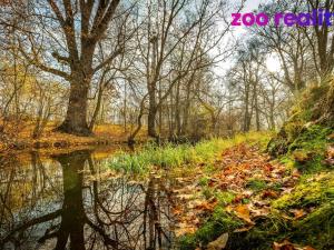 Prodej rodinného domu, Suchdol nad Lužnicí, Lužnická, 90 m2