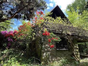 Prodej chaty, Běstvina, 70 m2