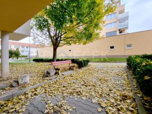 Pronájem bytu 2+kk, Brno - Líšeň, Leskauerova, 54 m2