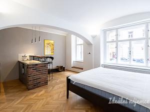 Pronájem bytu 1+kk, Praha - Žižkov, Rokycanova, 41 m2