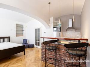 Pronájem bytu 1+kk, Praha - Žižkov, Rokycanova, 41 m2