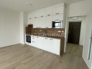 Pronájem bytu 1+kk, České Budějovice, Dobrovodská, 32 m2